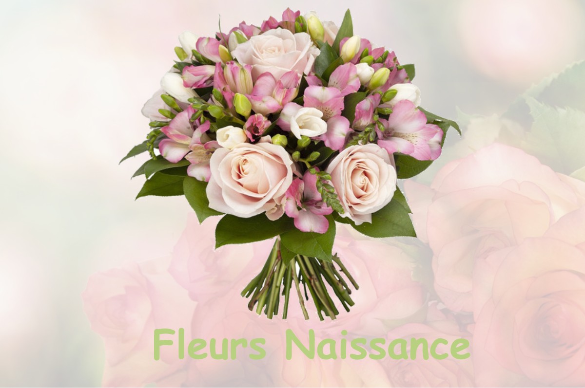 fleurs naissance LE-BOULAY-MORIN