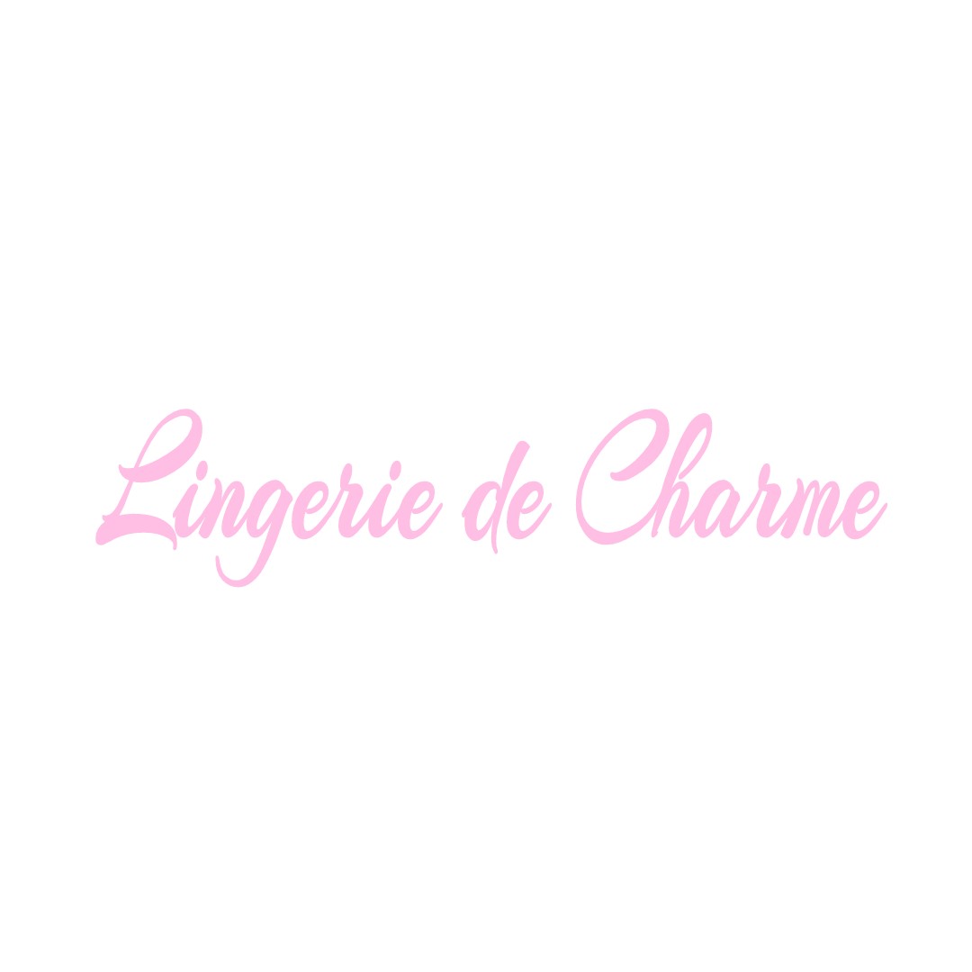 LINGERIE DE CHARME LE-BOULAY-MORIN